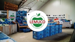 Lemuco - Groenten & Fruit