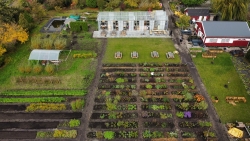 Kwekerij en Pluktuin Noorderbloemen