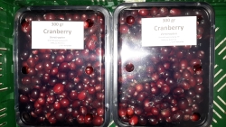 Verse cranberry's