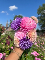 Eric Sleutjes Bloemen en Planten