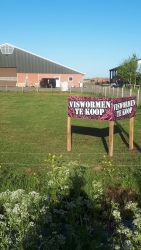 Wormenverkoop Mahe