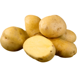 image1.png