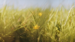 4K STILLS. Martin Boer 1.2.00_01_07_15.Still012.jpg