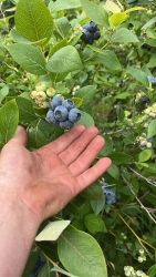 7e6781c0-5fec-4ff5-95d2-a3a0f6b6b771.jpeg