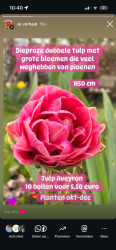 IMG_8138.png