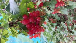 20220627_134536.jpg