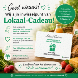 Inwisselpunt - Lokaal-Cadeau.png