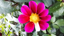 20190913_125816.jpg